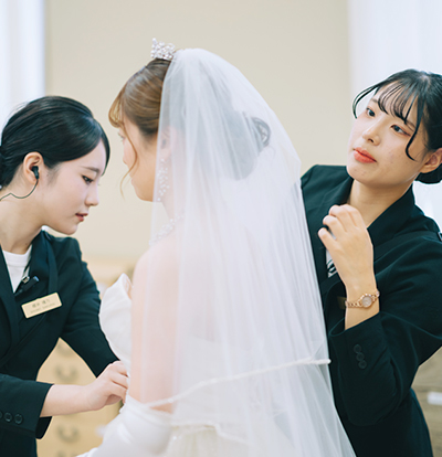 ドレスコレクション No.03